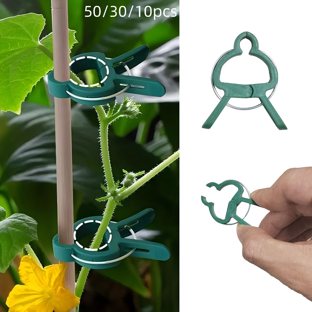 Essential Gardening Tools - 10/30/50 قطعة من مشابك النباتات القابلة