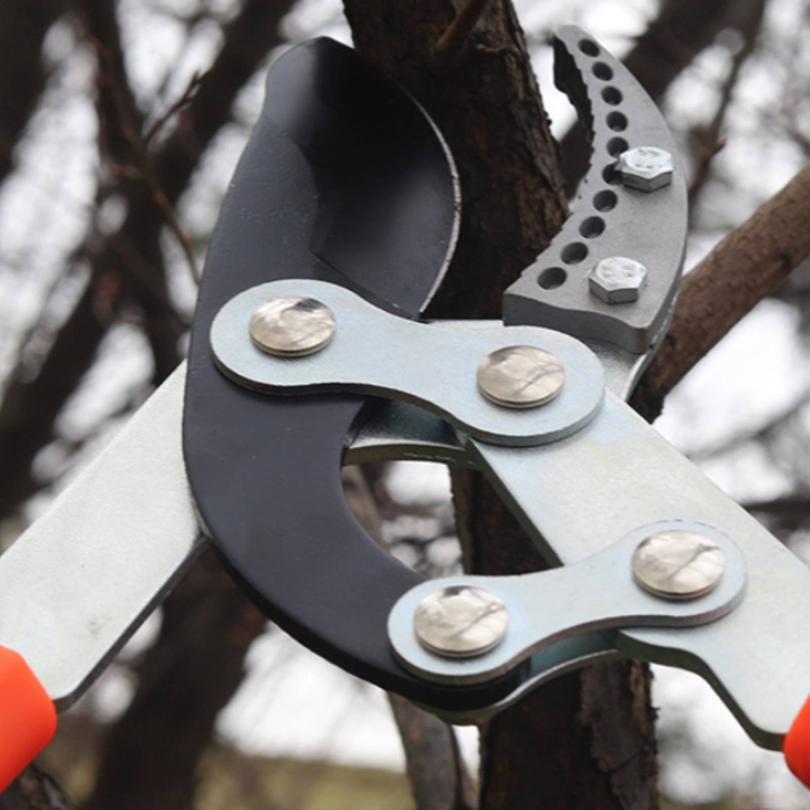 Gardening Tools - مقصات تقليم الأغصان التلسكوبية ذات الشفرة