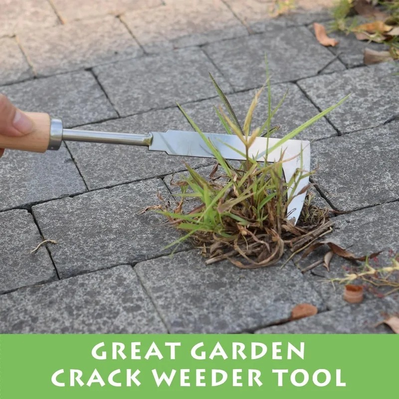 أداة إزالة الأعشاب الضارة من ا - مراجعة Gardening Tools Used For Weeding وسعره