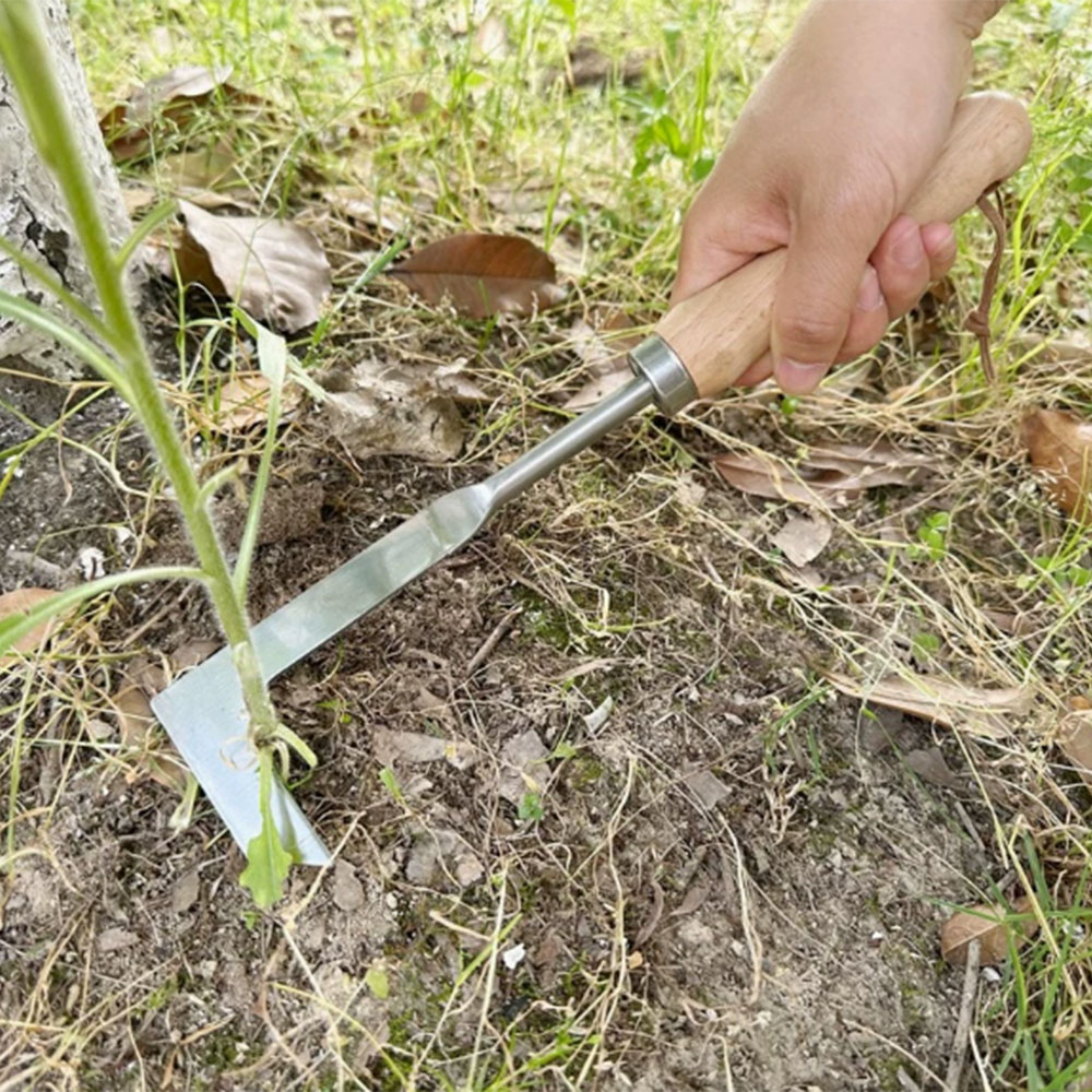 أداة إزالة الأعشاب الضارة من ا - مراجعة Gardening Tools Used For Weeding وسعره