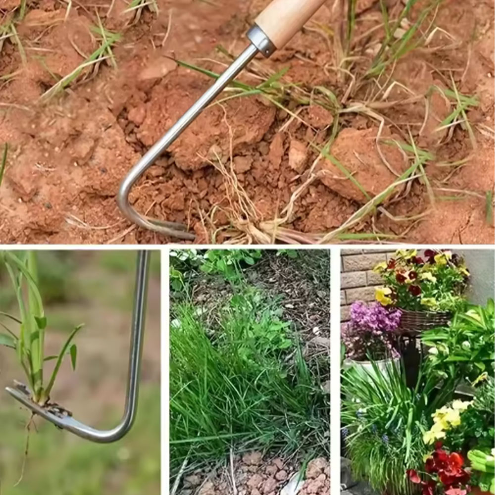 أداة إزالة الأعشاب الضارة من ا - مراجعة Gardening Tools Used For Weeding وسعره