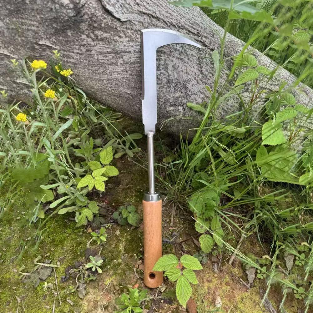 أداة إزالة الأعشاب الضارة من ا - مراجعة Gardening Tools Used For Weeding وسعره