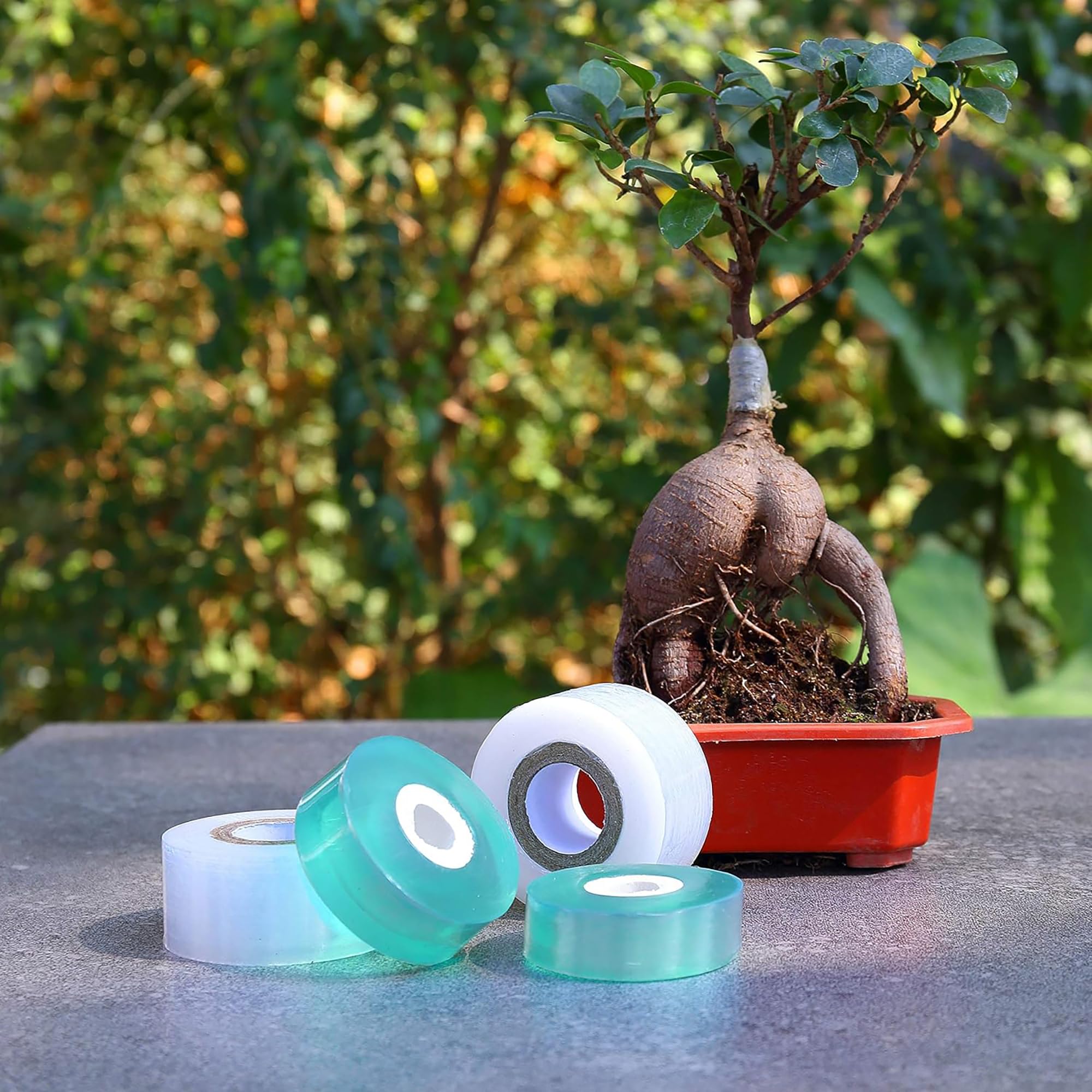 شريط تطعيم ذاتي اللصق سهل الاس - مراجعة Gardening Tools And Uses وسعره