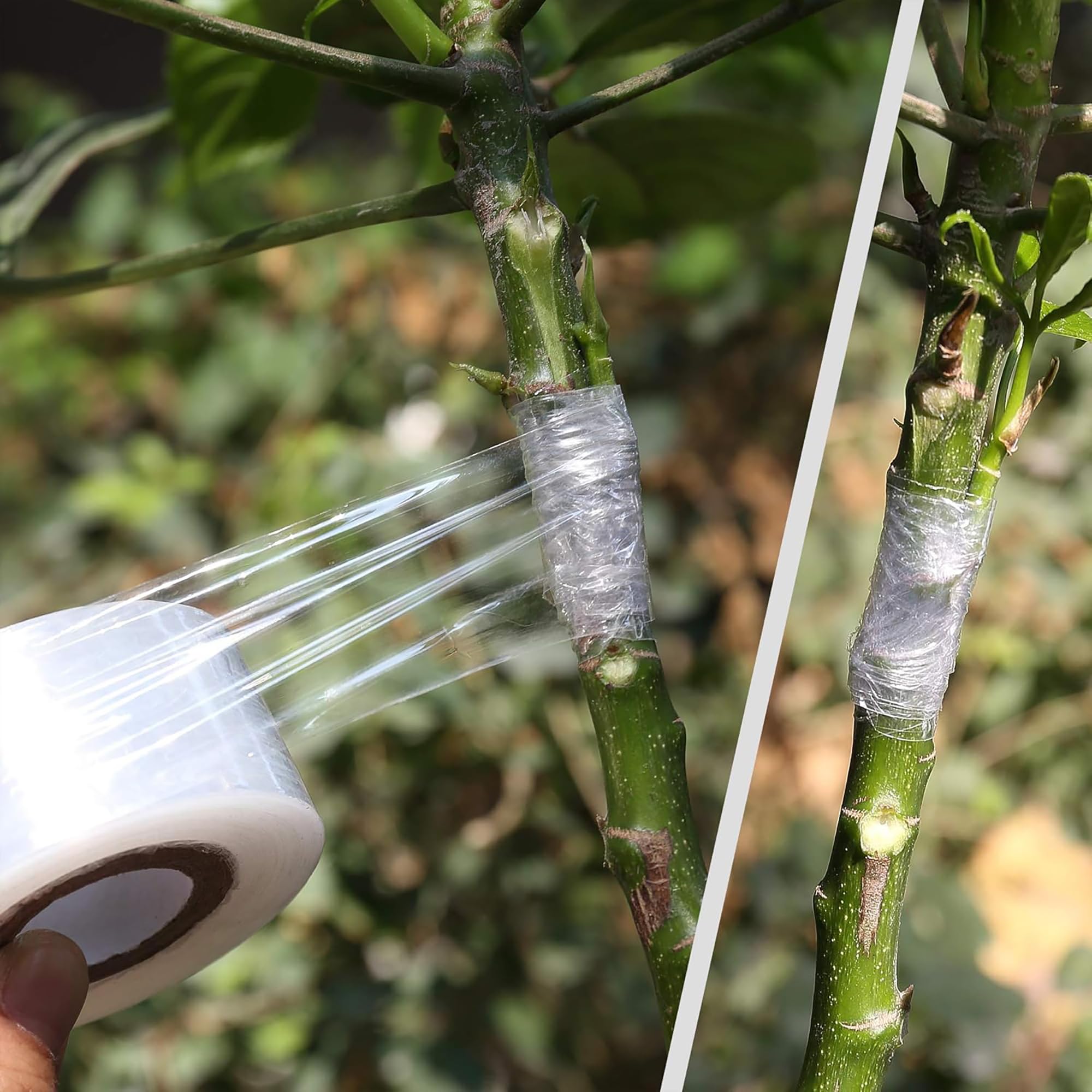شريط تطعيم ذاتي اللصق سهل الاس - مراجعة Gardening Tools And Uses وسعره