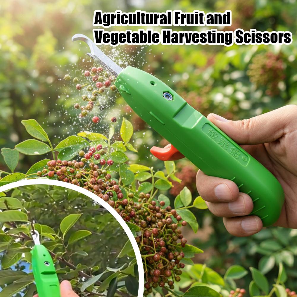مقصات قطف الفاكهة والخضروات، م - مراجعة Essential Gardening Tools وسعره