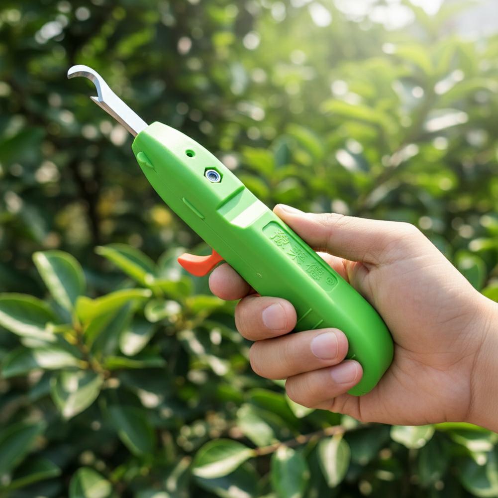 مقصات قطف الفاكهة والخضروات، م - مراجعة Essential Gardening Tools وسعره