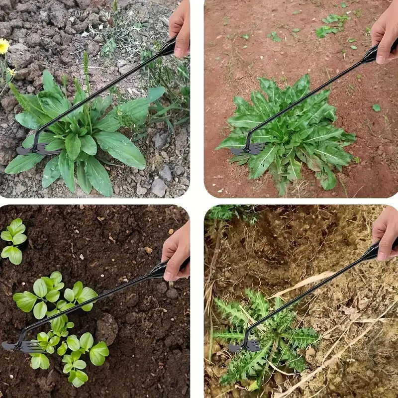 قطعة واحدة، أداة إزالة الأعشاب - مراجعة Gardening Tools Used For Weeding وسعره