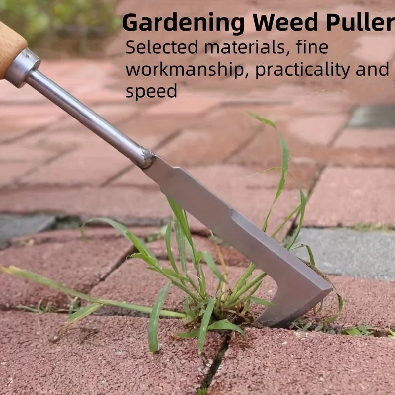 أداة إزالة الأعشاب الضارة من ا - مراجعة Gardening Tools Used For Weeding وسعره