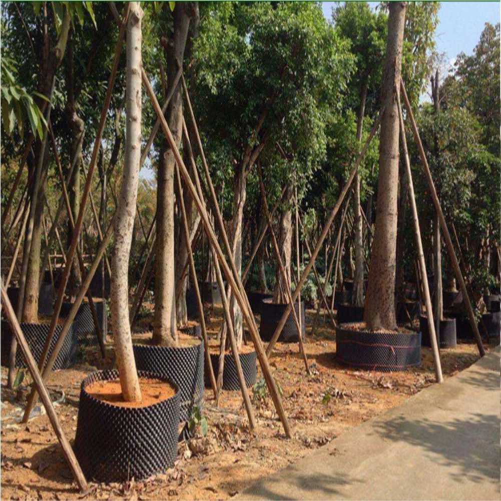 أداة زراعة وتحويل نباتات البون - مراجعة Gardening Tools وسعره