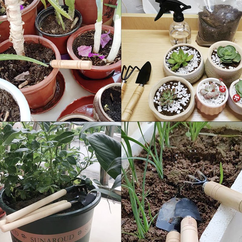 3 قطعة/1 مجموعة أدوات البستنة  - مراجعة Gardening Tools Shovel وسعره