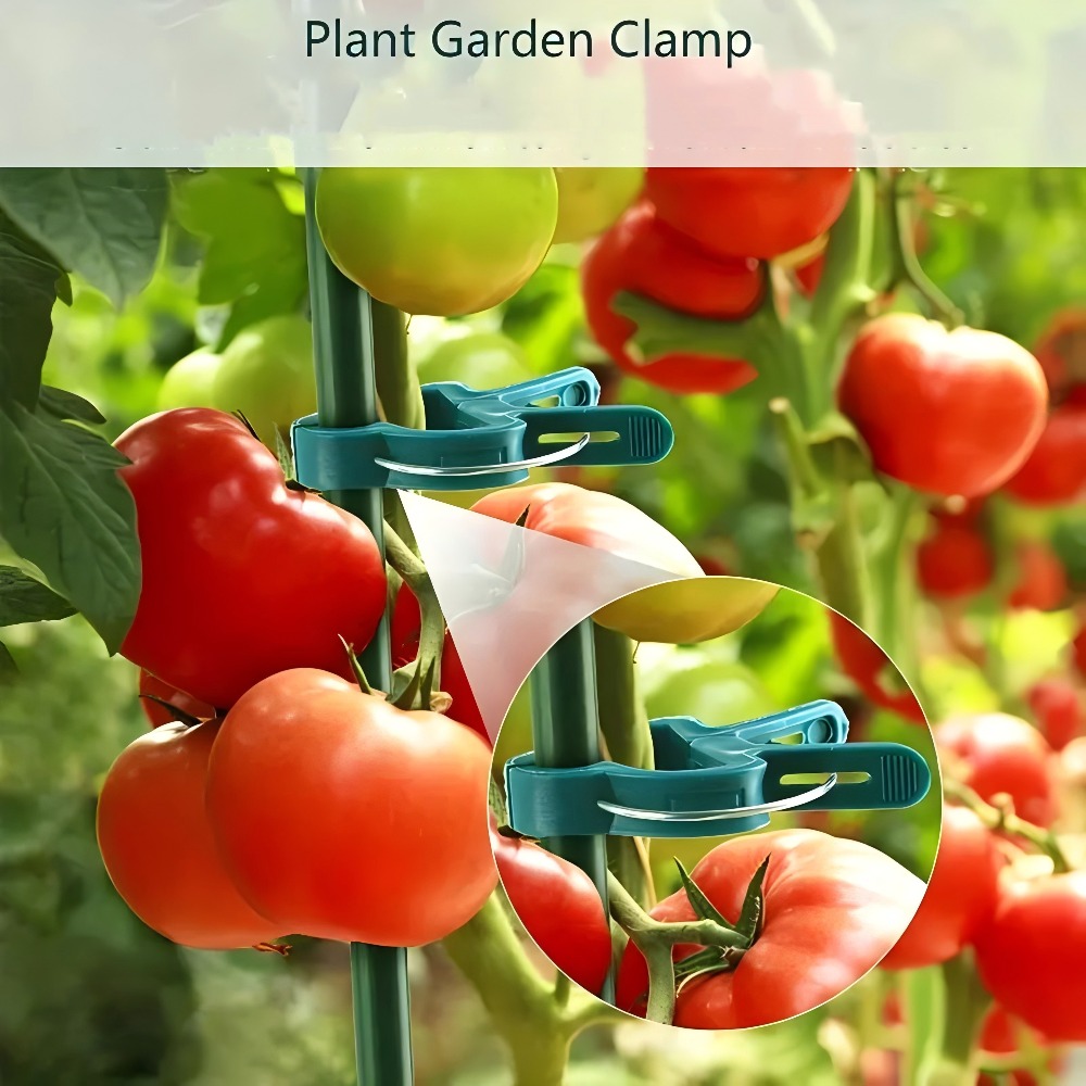 10/30/50 قطعة من مشابك النباتا - مراجعة Essential Gardening Tools وسعره
