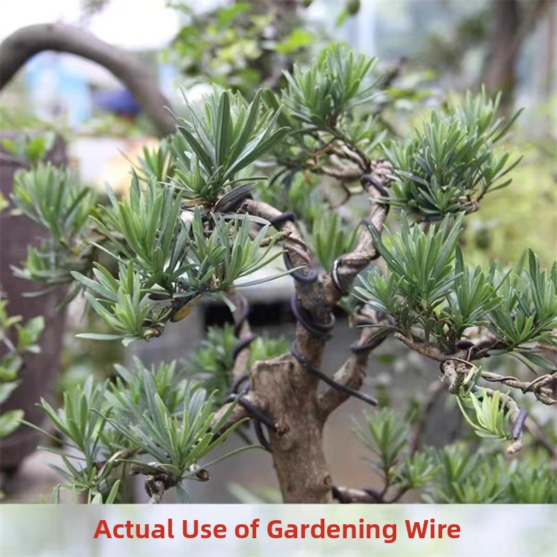 أسلاك بونساي من الألومنيوم بسم - مراجعة Gardening Tools And Uses وسعره