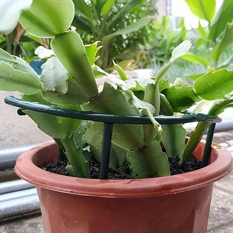 30-1 قطعة دعامة نباتات بلاستيك - مراجعة Gardening Tools Gifts وسعره