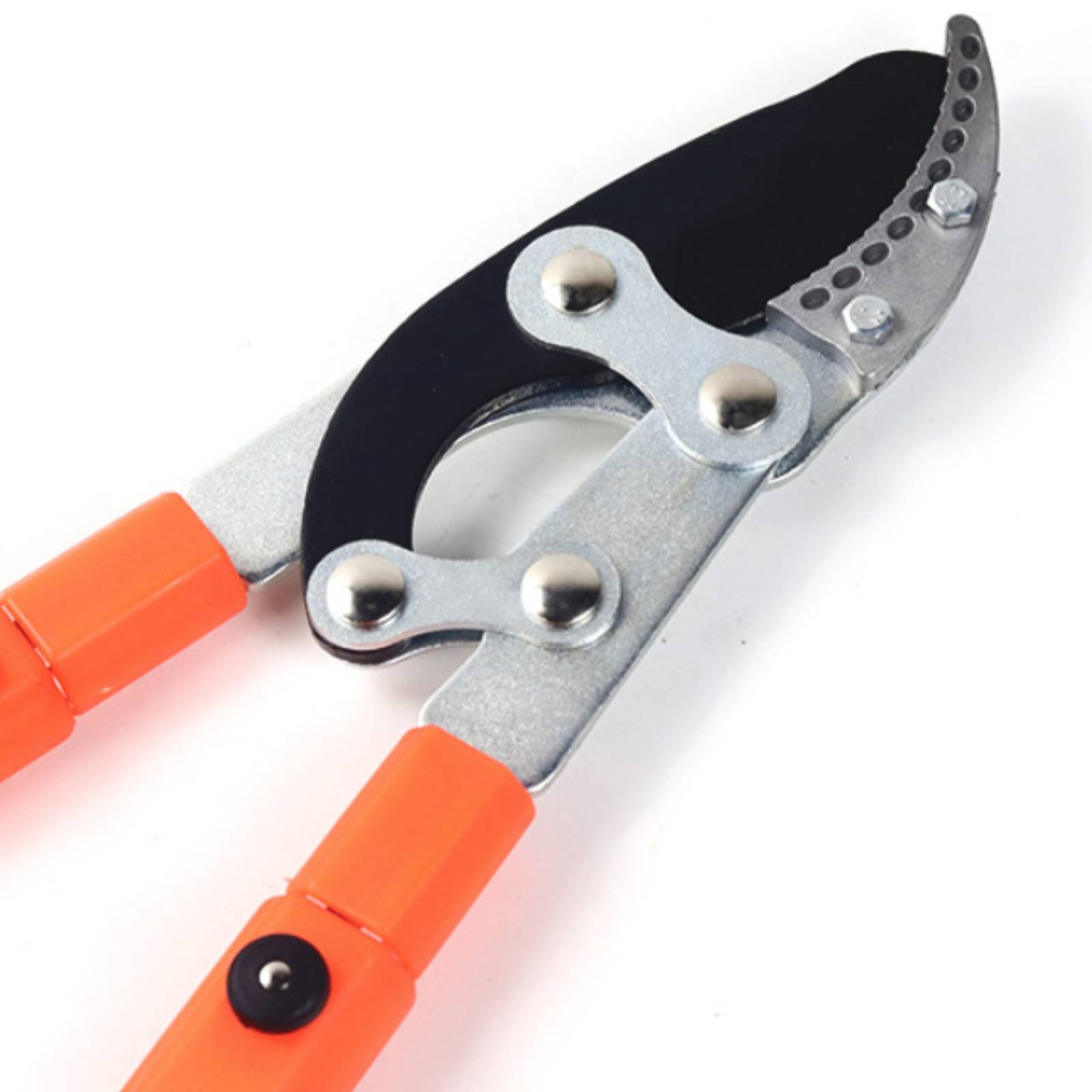 مقصات تقليم الأغصان التلسكوبية - مراجعة Gardening Tools وسعره