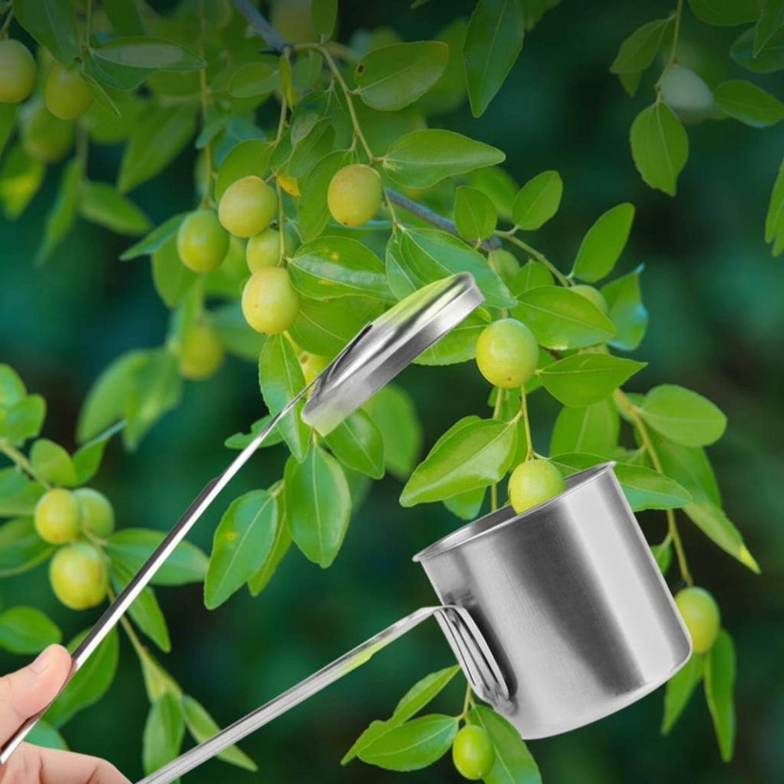 أداة التقاط الفاكهة من الفولاذ - مراجعة Gardening Tools And Uses وسعره