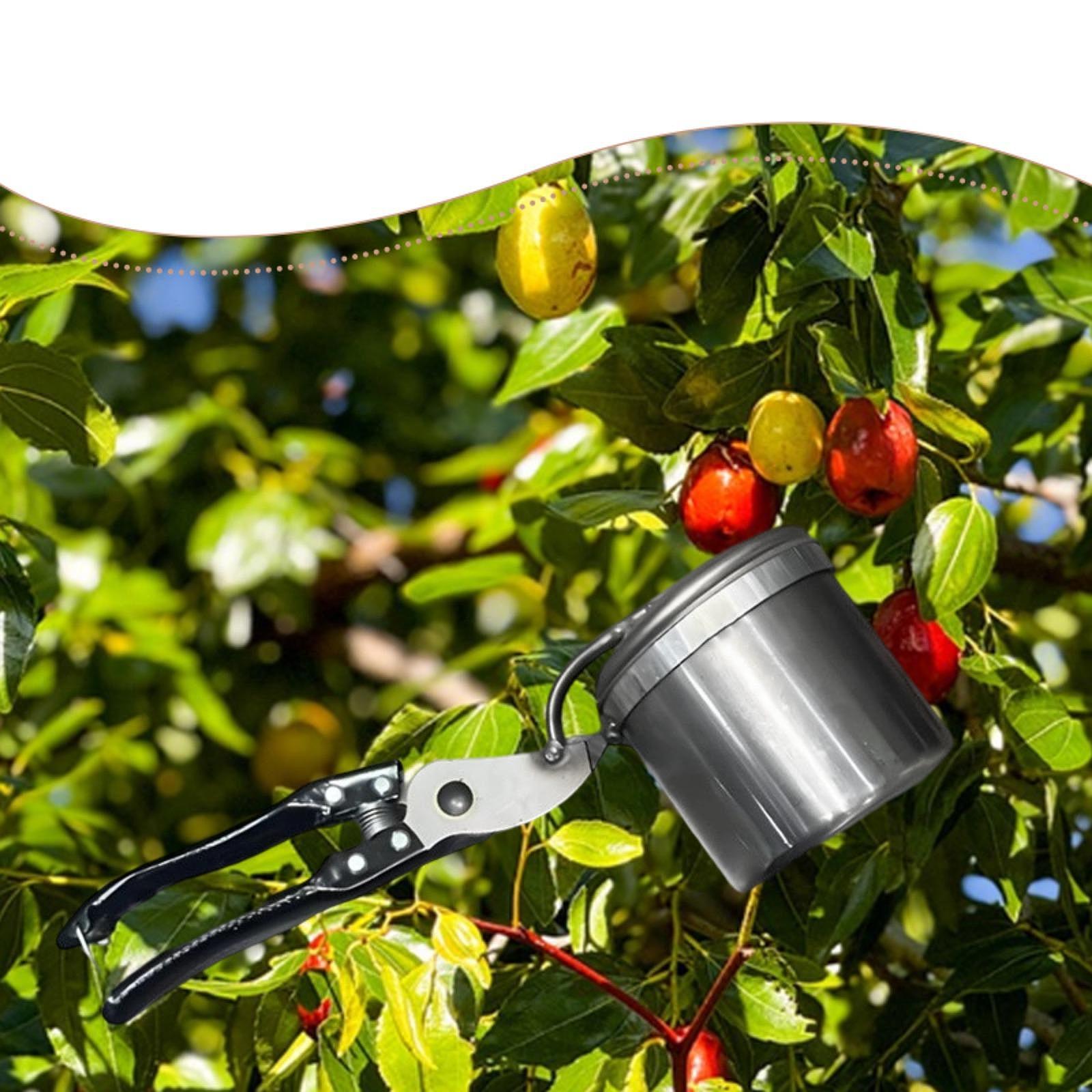 منتقي الفاكهة، أداة البستنة ال - مراجعة Gardening Tools And Uses وسعره