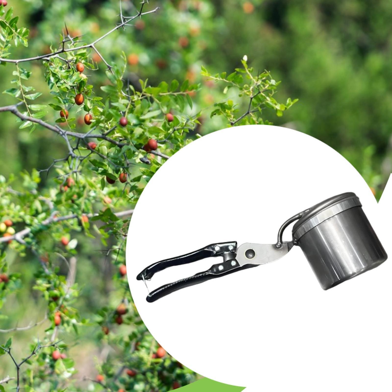 منتقي الفاكهة، أداة البستنة ال - مراجعة Gardening Tools And Uses وسعره