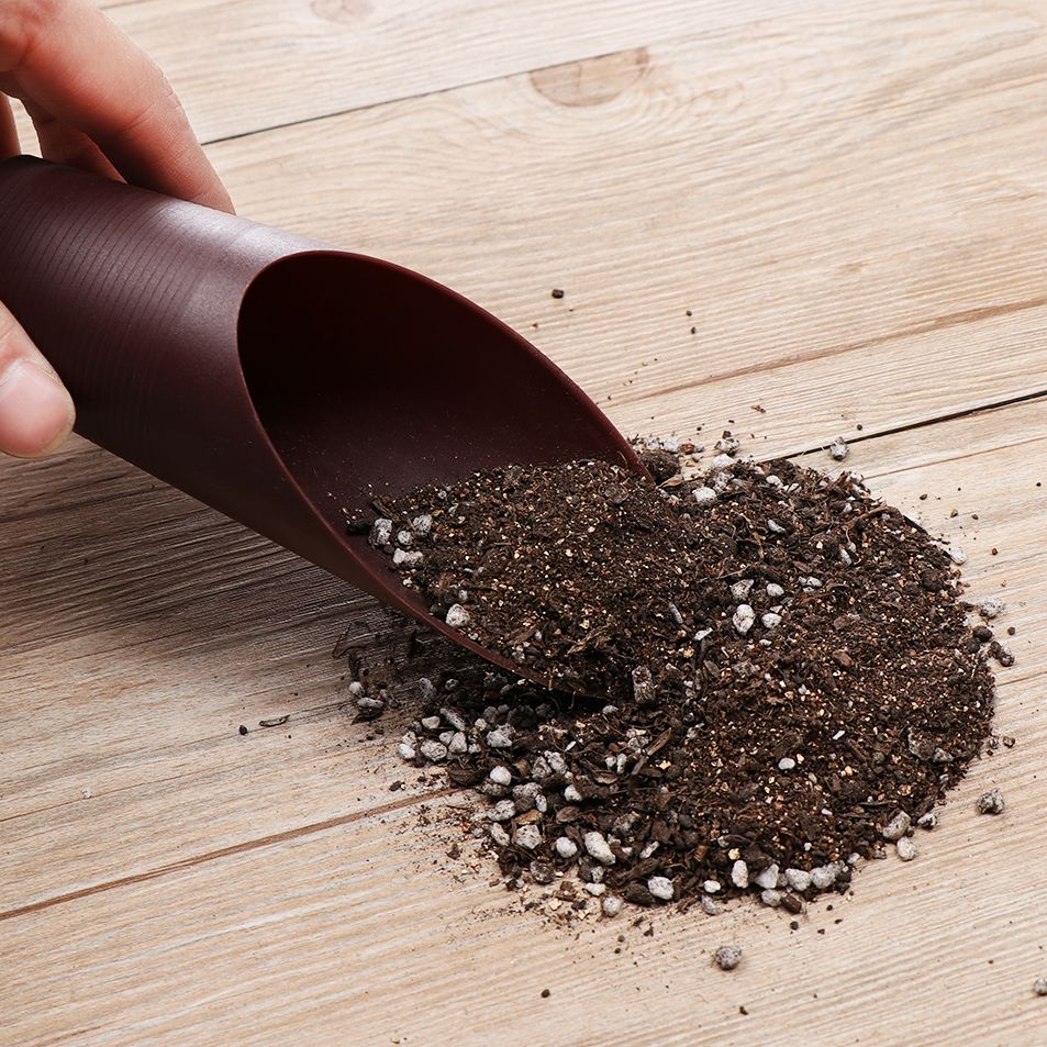 1 قطعة البلاستيك التربة مجرفة  - مراجعة Gardening Tools Shovel وسعره